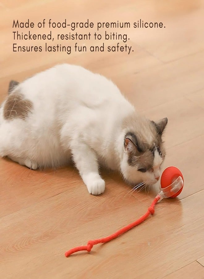PET FUN كرة مطاطية طبيعية مدببة للكلاب من بيت فن، 2.8 بوصة | لعبة مضغ نطاطة للجراء | لعبة كرة تفاعلية للقطط بذيل حبل | مجموعة ألوان متعددة من قطعتين - Image 5